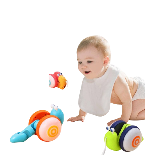 CARACOL DE ARRASTRE MUSICAL